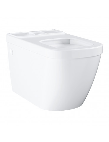 Euro Rimless toilet for low tanqe