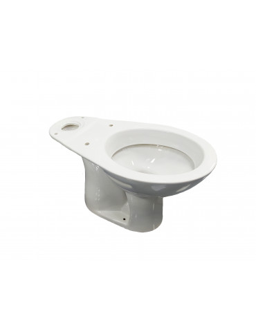 Lizz toilet for low tank