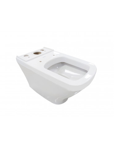 DuraStyle toilet for low tank