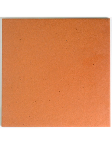 PAV 31,6X31,6 LAVA C3