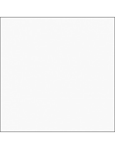 PAV 80X80 BLANCO PULIDO PR