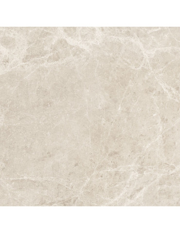 PAV 60X60 SAVANA CREAM BR REC