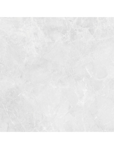 PAV 60X60 SAVANA WHITE BR...