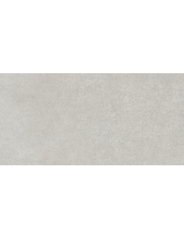 PAV 30X60 LOGAN GRIS R