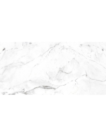 PAV 30X60 MARBLE CARRARA...