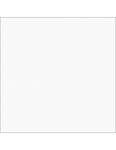 PAV 120X120 BLANCO PULIDO