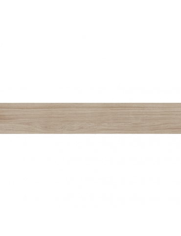 PAV 20X120 FERRIERE FAGGIO C1