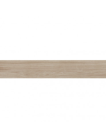 PAV 20X120 FERRIERE FAGGIO C1